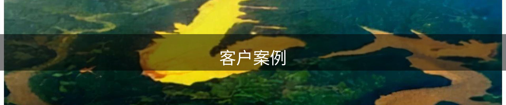 客户案例