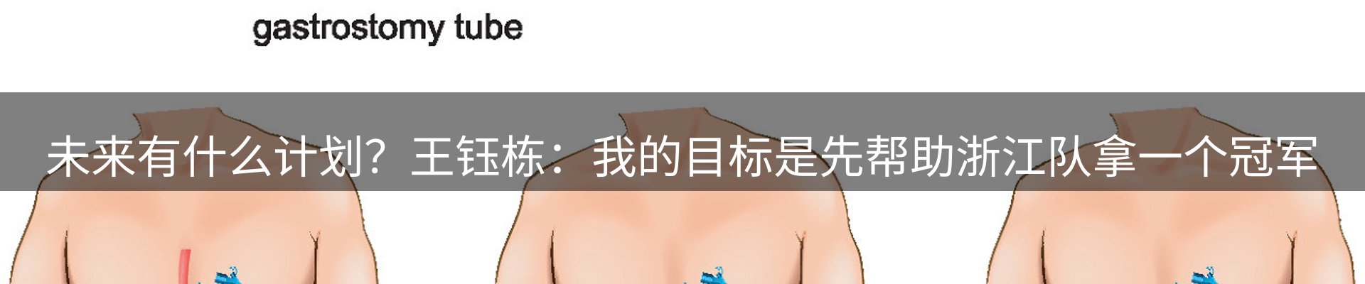 网站资讯