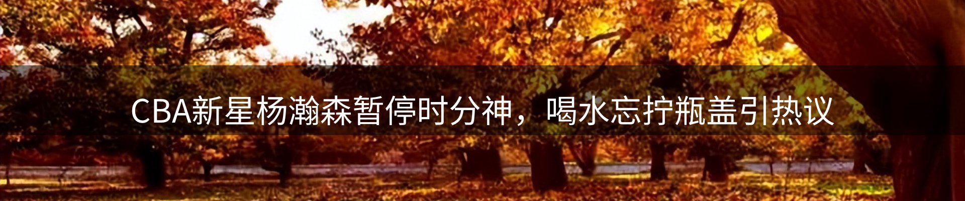 网站资讯
